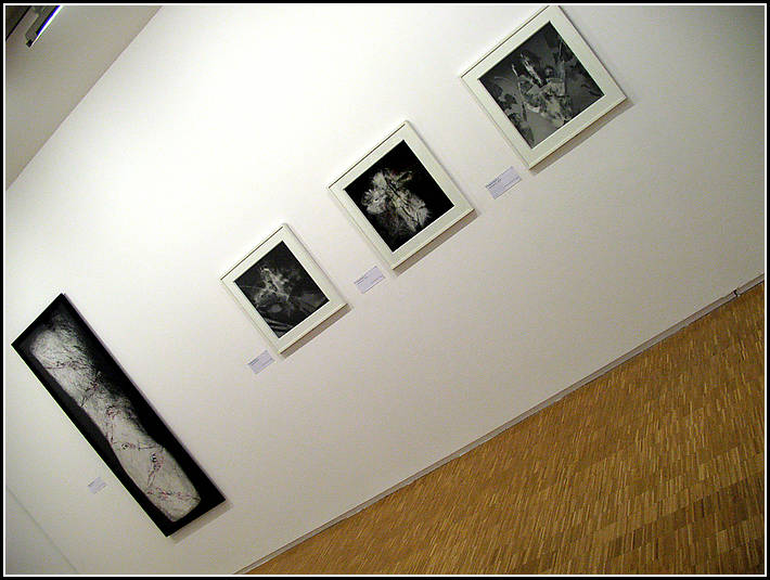 Experimentations photographiques en Europe des annees 1920 a nos jours - Centre Pompidou (Paris)