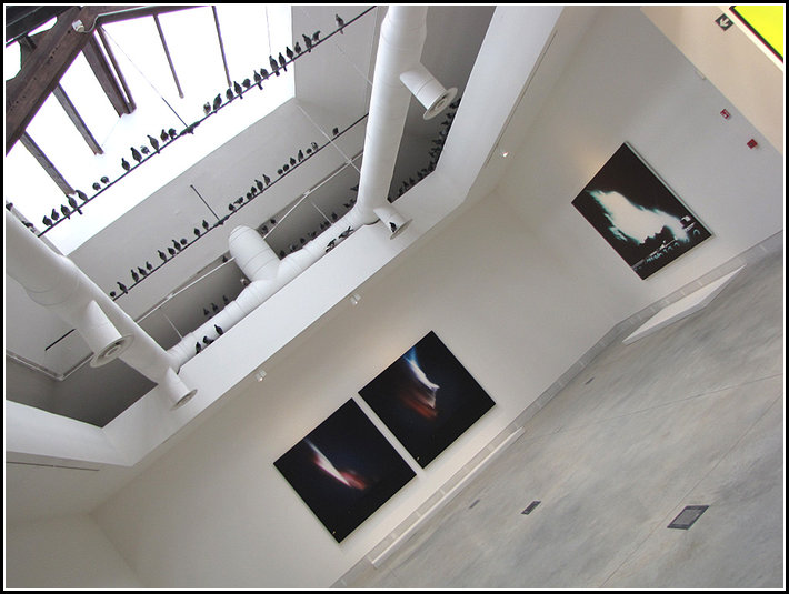 54 eme Biennale Internationale d Art Contemporain de Venise - Pavillon Italia (Italie)