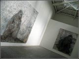 Miguel Barcelo - Espagne - 53 eme Biennale de Venise  (Italie)