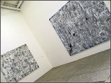Miguel Barcelo - Espagne - 53 eme Biennale de Venise  (Italie)